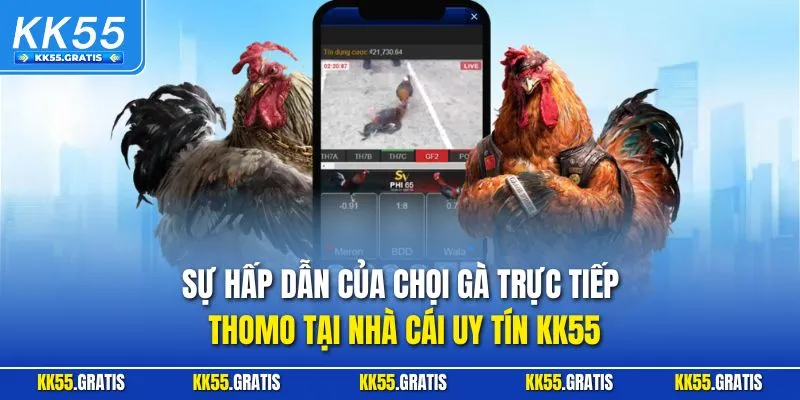 Sự hấp dẫn của chọi gà trực tiếp Thomo tại nhà cái uy tín KK55